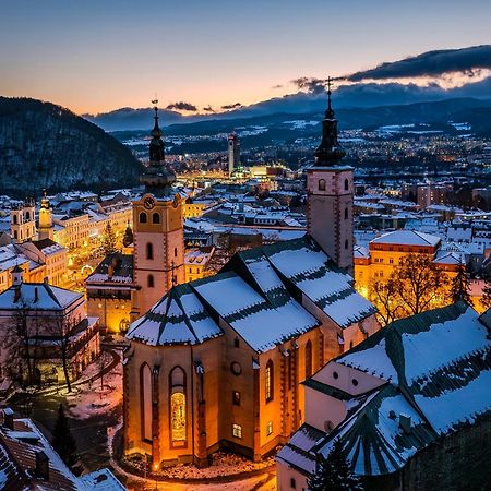 Komfortny Apartman So Zahradou A Sukromnym Parkoviskom-Nonstop Check-In Banska Bystrica Bagian luar foto