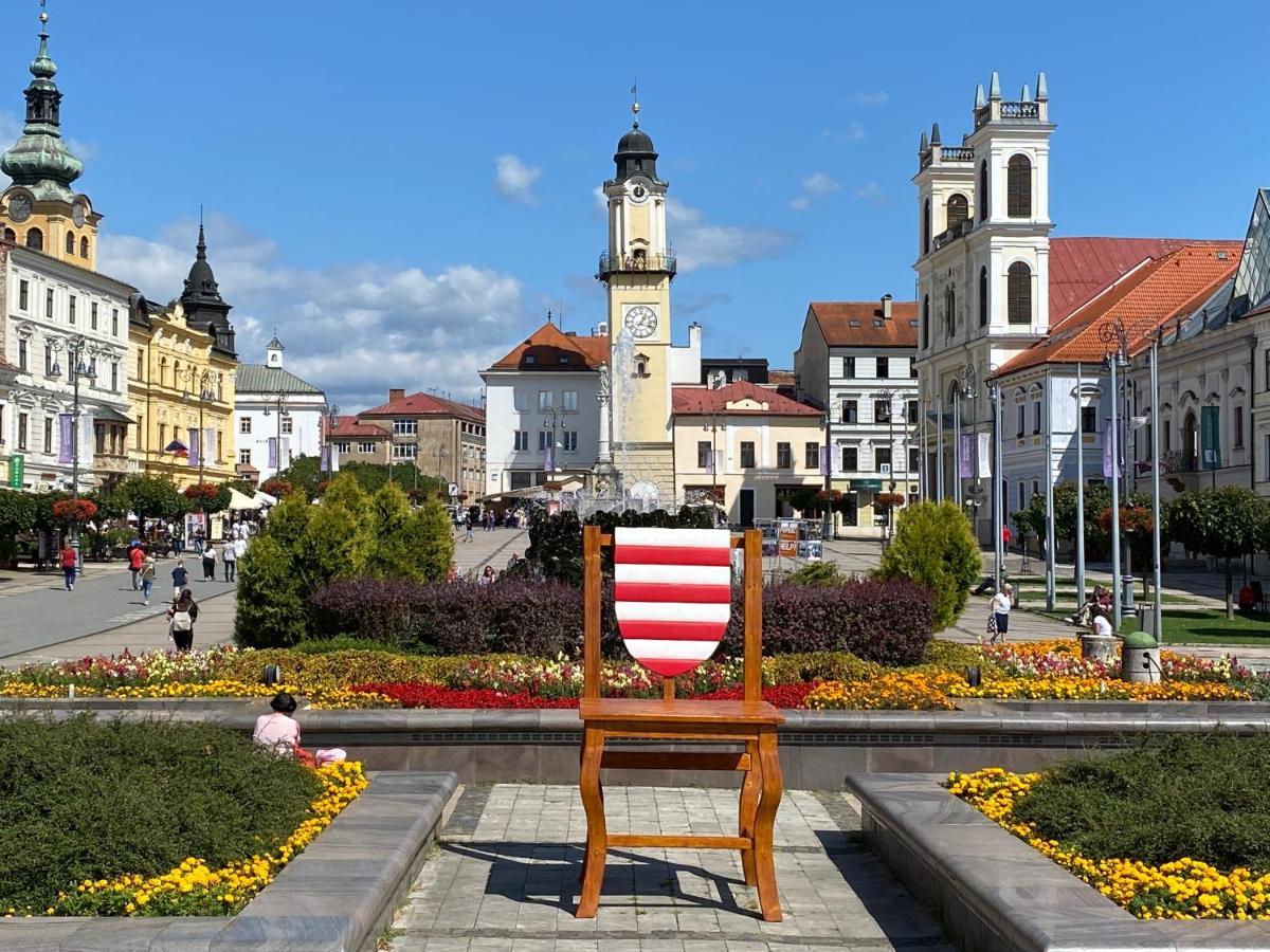 Komfortny Apartman So Zahradou A Sukromnym Parkoviskom-Nonstop Check-In Banska Bystrica Bagian luar foto